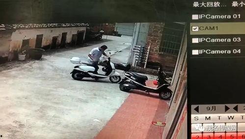 老油条爆料的视频,视频内容深度解析 第1张 老油条爆料的视频,视频内容深度解析 第1张